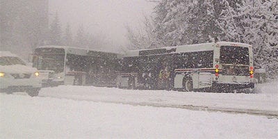 Buses in Snow